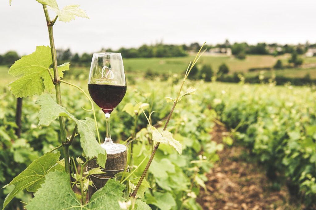 Vinho-Chianti-Os-10 Produtos-Italianos-Mais-Famosos-no-Mundo